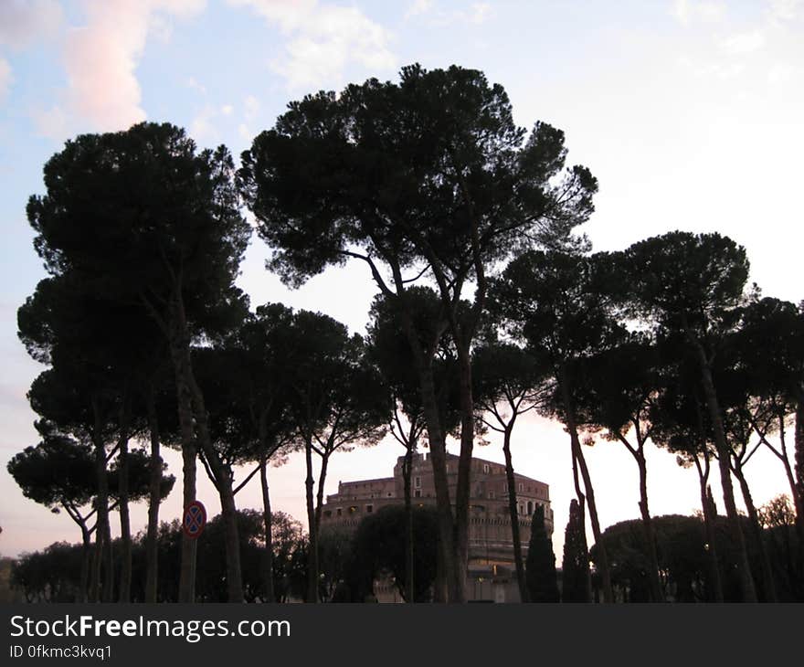 sant-angelo-castle-seen-behind-pine-trees