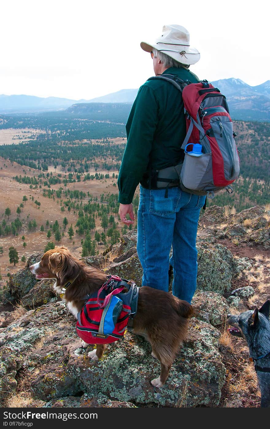 We hiked up the valley on the south side of Robinson Crater, then followed the southern edge of the rim out to a beautiful view of the Peaks. We hiked up the valley on the south side of Robinson Crater, then followed the southern edge of the rim out to a beautiful view of the Peaks.