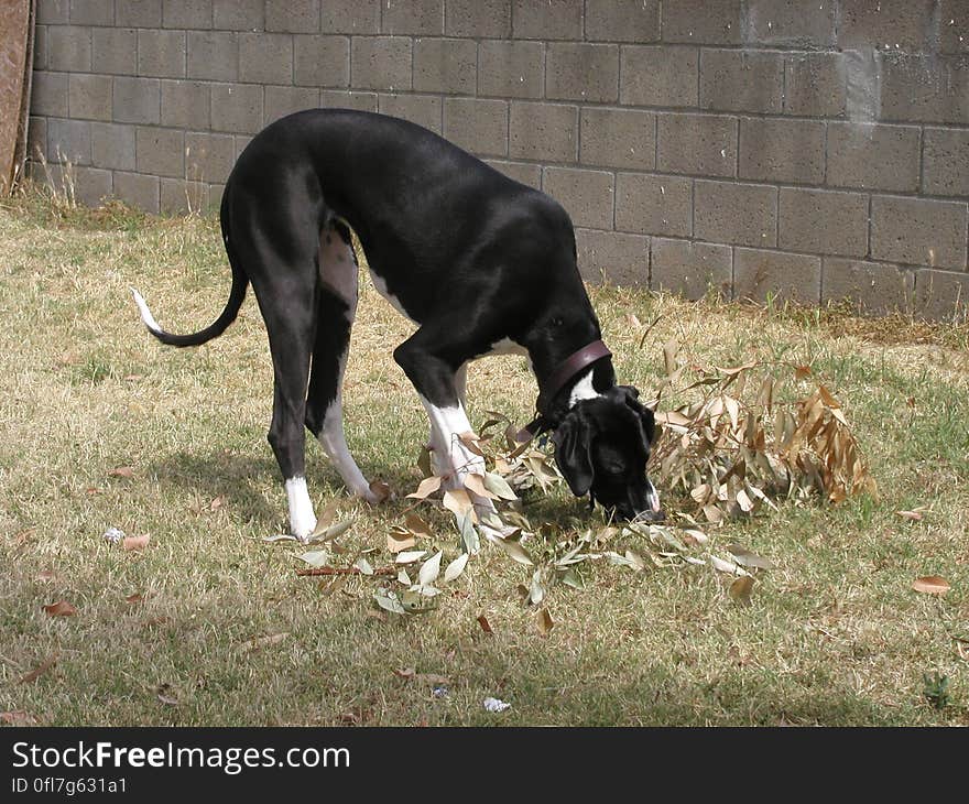 Hmmm, this stick looks suspicious. Hmmm, this stick looks suspicious