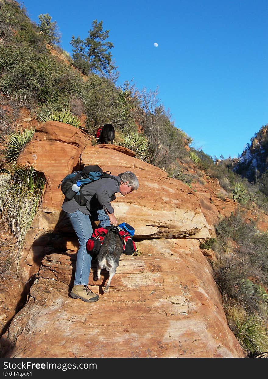 Climbing up off the arch. Stuart gives the pups a boost. Climbing up off the arch. Stuart gives the pups a boost.