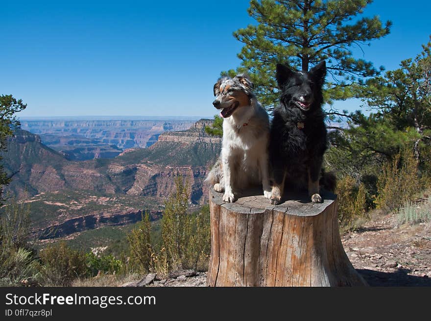 Tasha and Dax at Timp Point &#x28;USFS&#x29;. Tasha and Dax at Timp Point &#x28;USFS&#x29;.