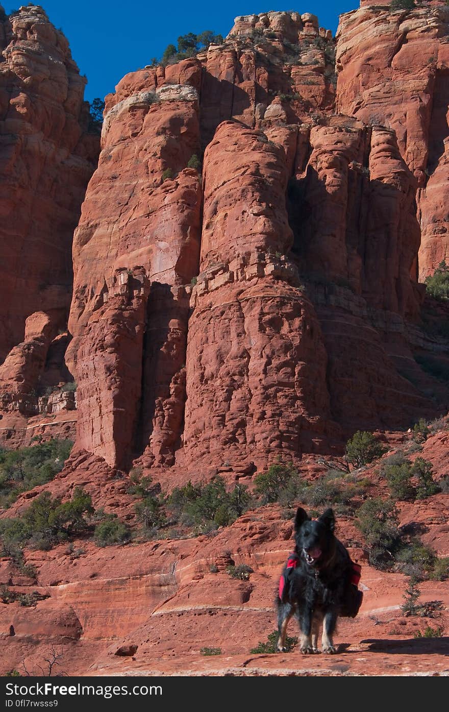 Hiking Mitten Ridge after a snowstorm dumped two feet of snow in the upper elevations. Trail starts at Cow Pies Trailhead. Hiking Mitten Ridge after a snowstorm dumped two feet of snow in the upper elevations. Trail starts at Cow Pies Trailhead.