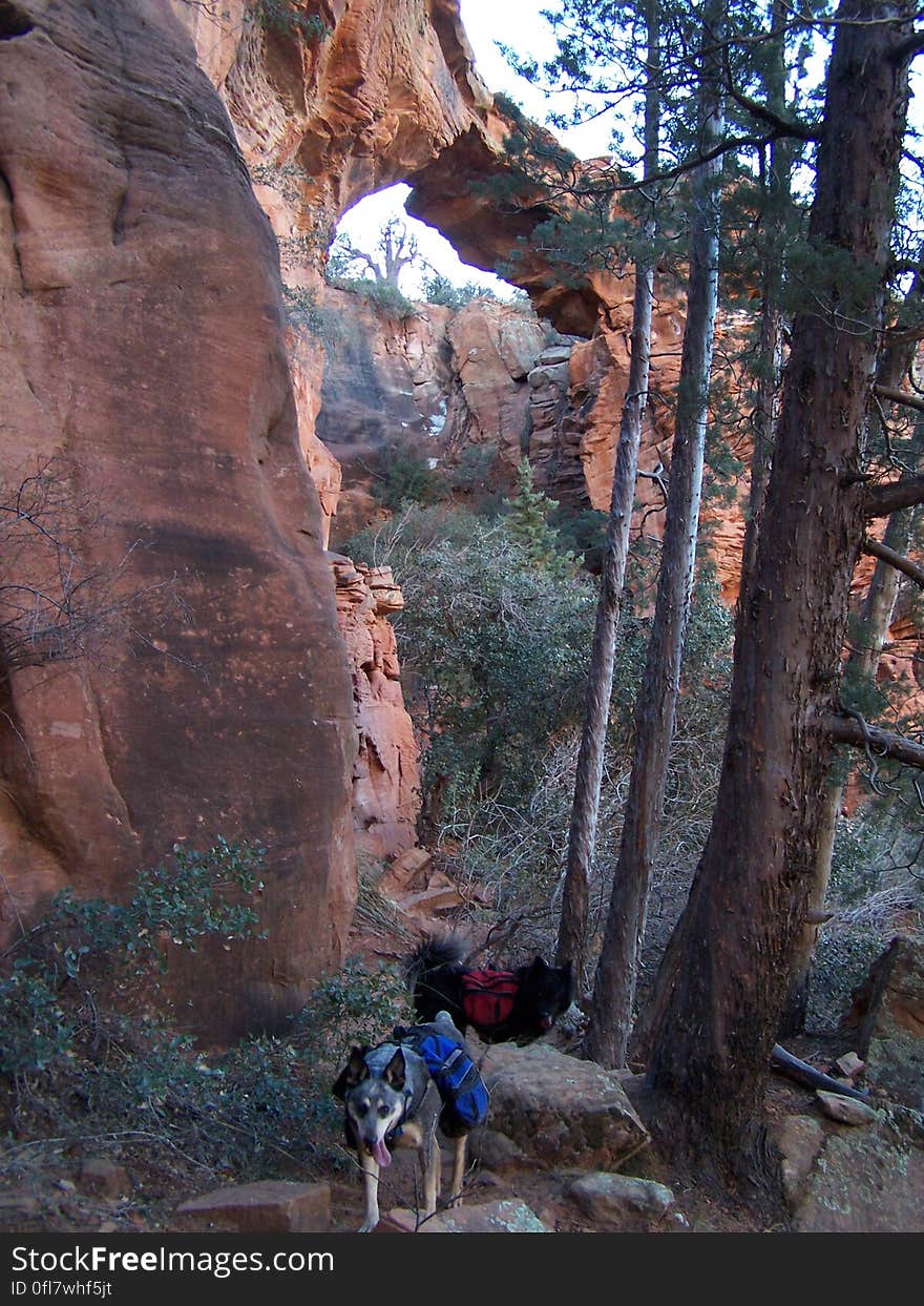 Devils Bridge