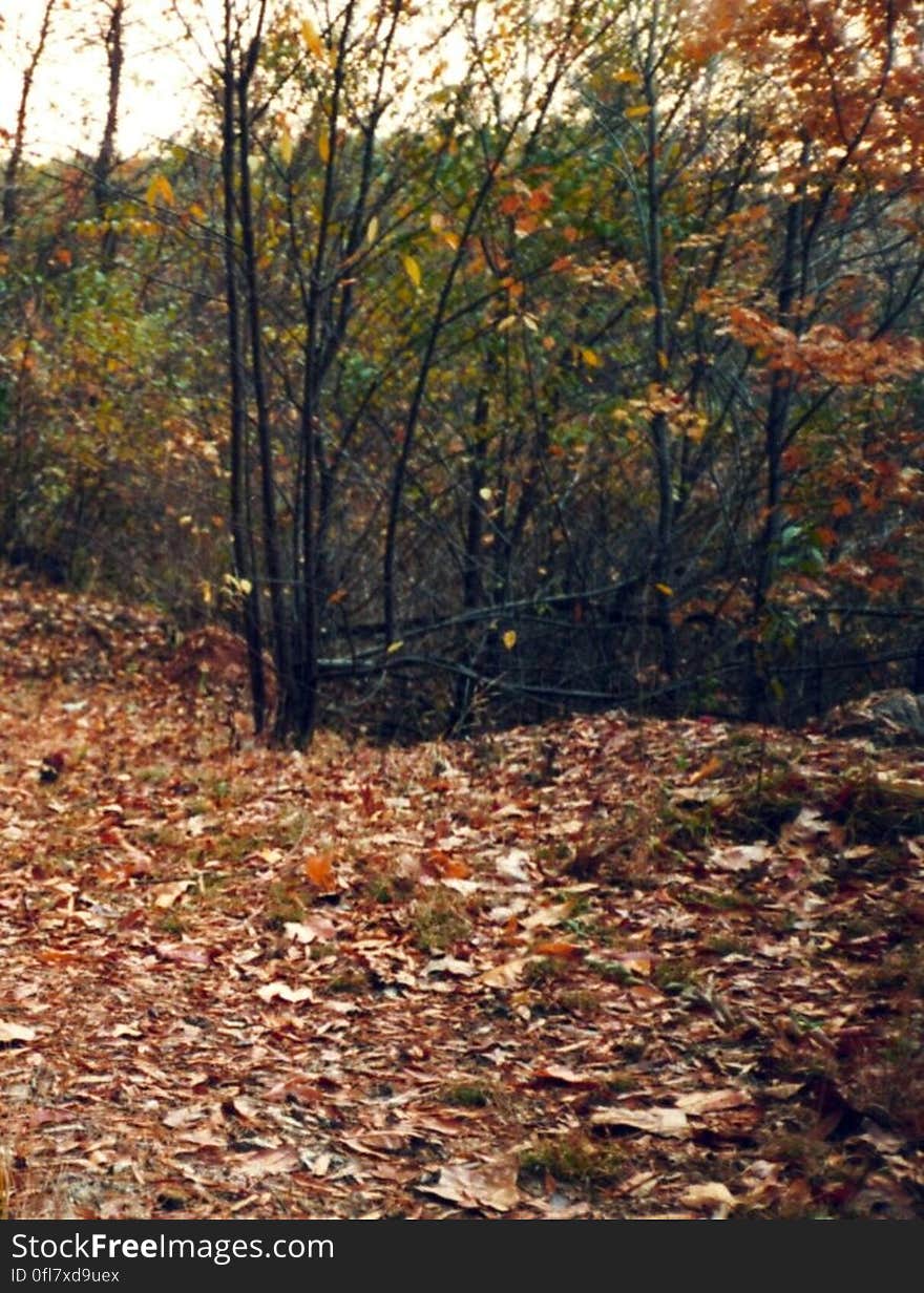 I was hours running up and down the trail, crying out her name. I was worthless. I could take care of myself, but no one else, worthless. I was hours running up and down the trail, crying out her name. I was worthless. I could take care of myself, but no one else, worthless.