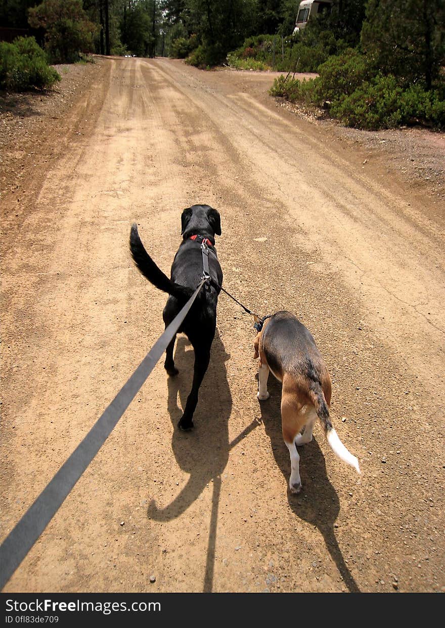 Or are the walkiing me? Headed down to the mailbox. Or are the walkiing me? Headed down to the mailbox