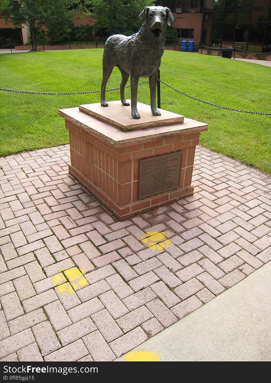 His name is &quot;True Grit&quot; a Chesapeake Bay Retriever. en.wikipedia.org/wiki/UMBC_Retrievers. His name is &quot;True Grit&quot; a Chesapeake Bay Retriever. en.wikipedia.org/wiki/UMBC_Retrievers