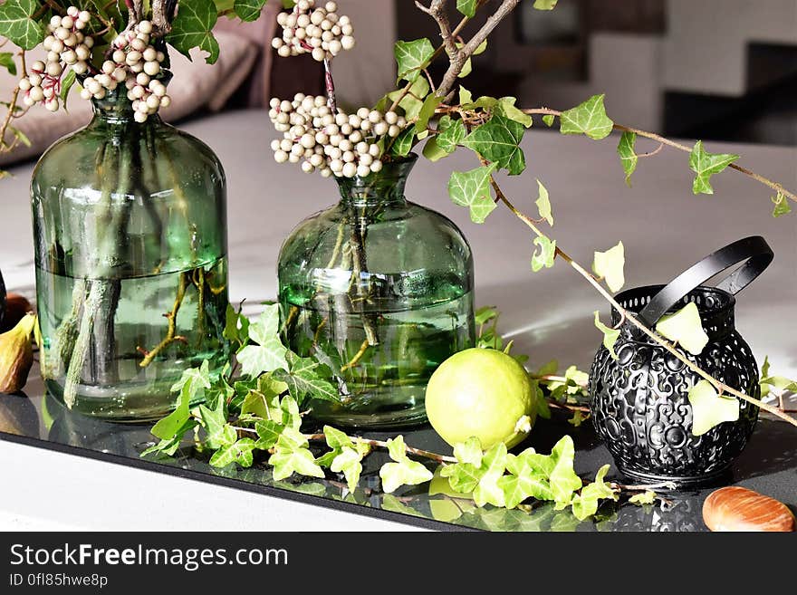 Green Leaved Plants in Green Clear Glass Vase