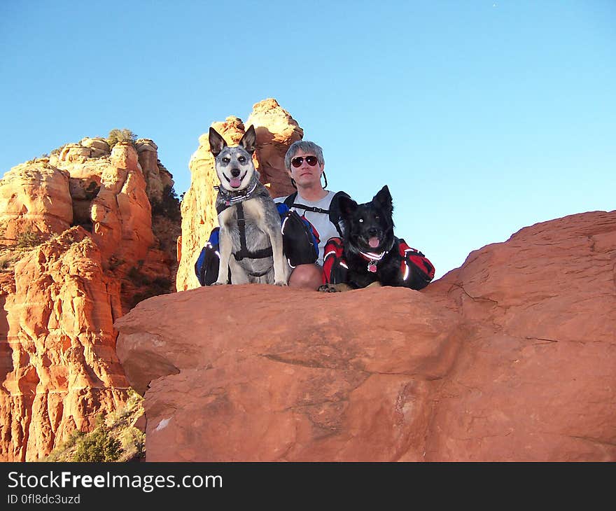 Stuart and pups. Stuart and pups