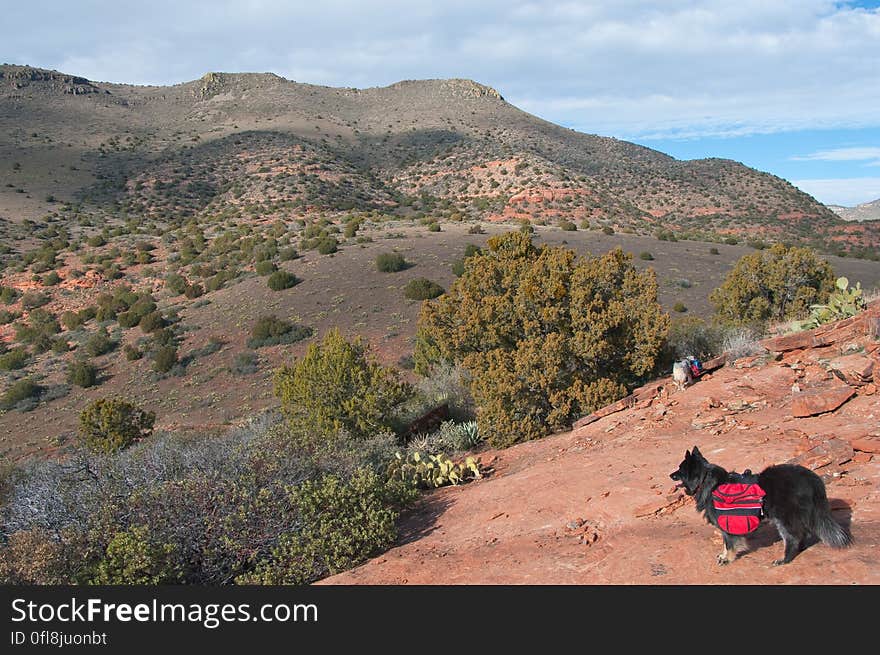 Exploring the ruins at Robbers Roost, near Casner Mountain, west of Sedona.