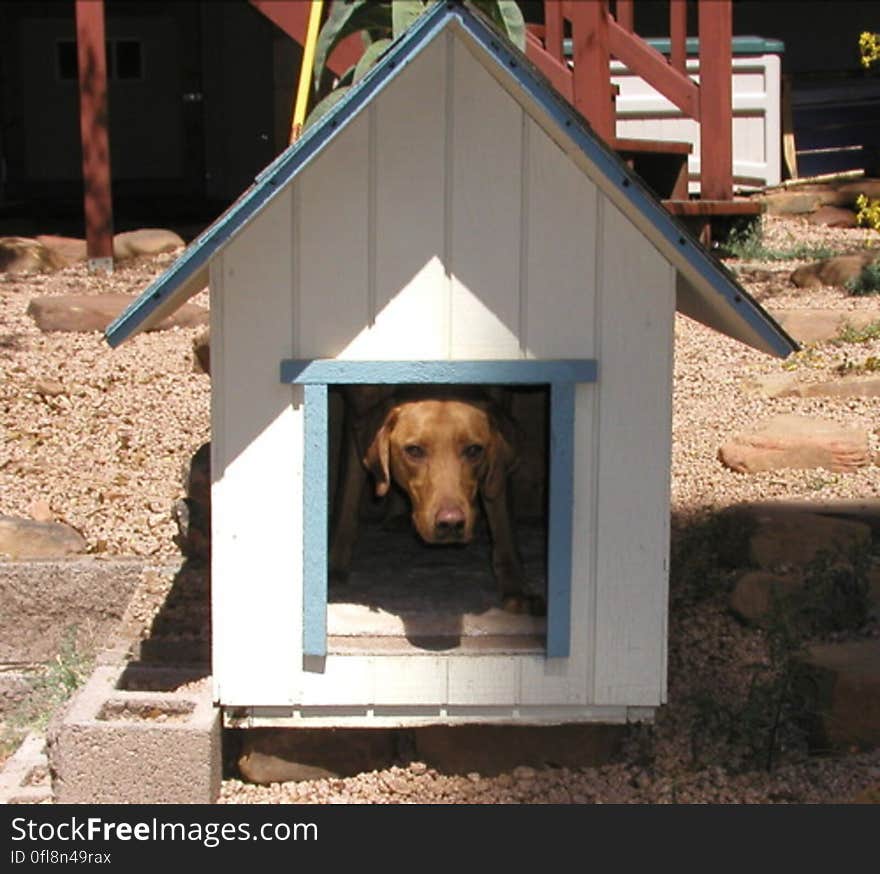 Mickey has a new house but it is a bit of a squeeze. Mickey has a new house but it is a bit of a squeeze