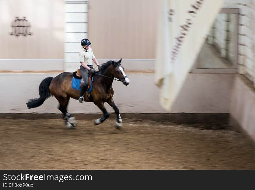 Rider and horse training in riding school, Amsterdam, Netherlands. Rider and horse training in riding school, Amsterdam, Netherlands.