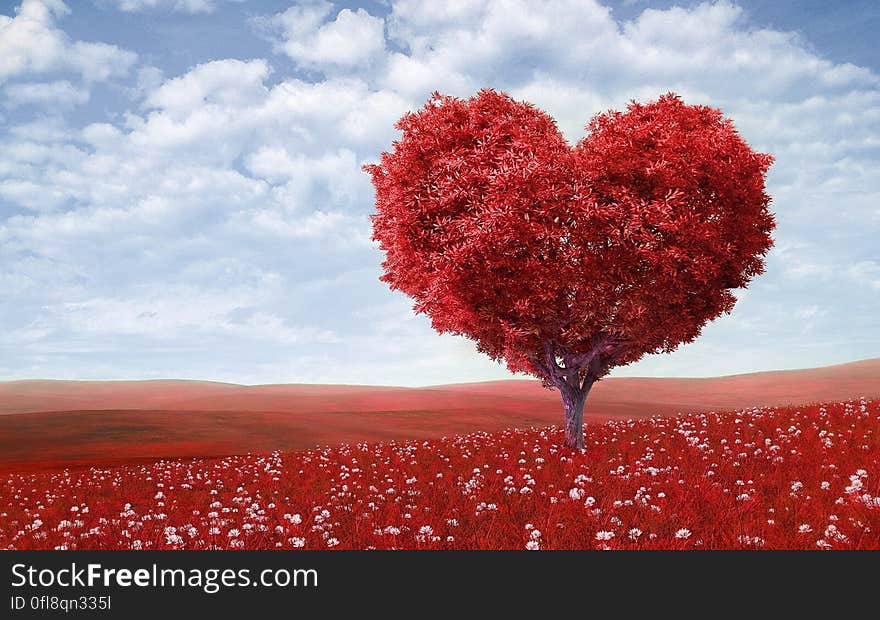 A red heart shaped tree on red meadow.