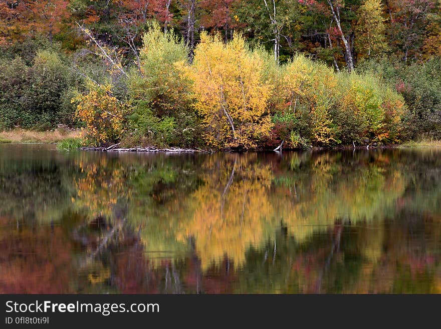 A lake with autumn trees at the shore reflecting from the water. A lake with autumn trees at the shore reflecting from the water.