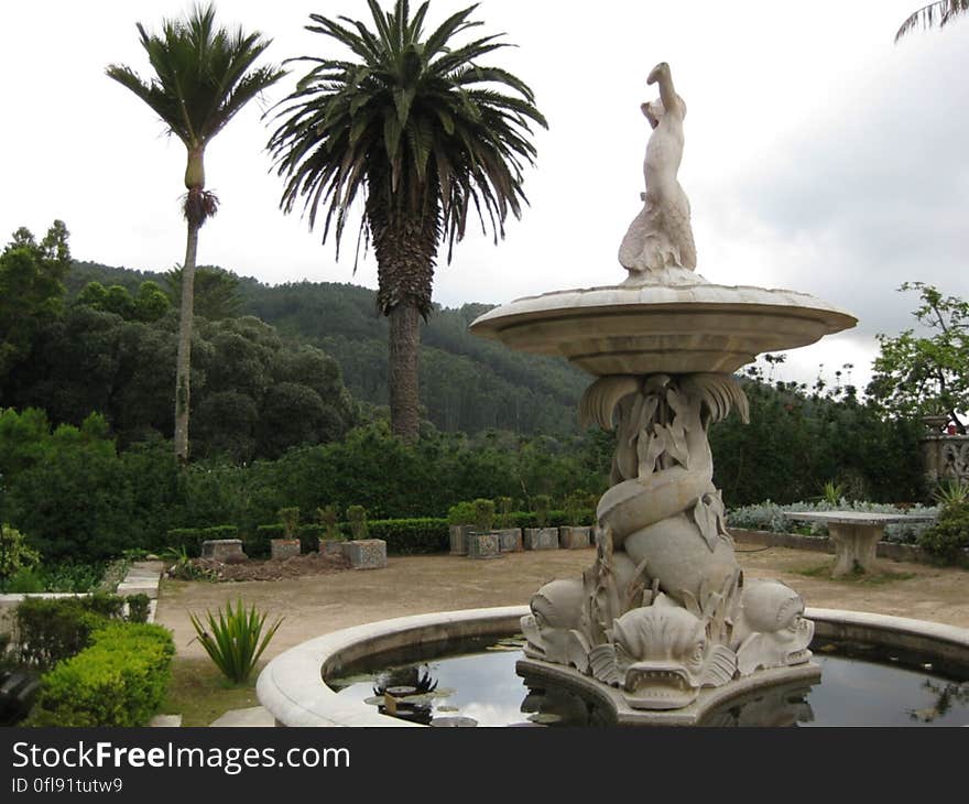 A fountain in a park with palm trees. A fountain in a park with palm trees.