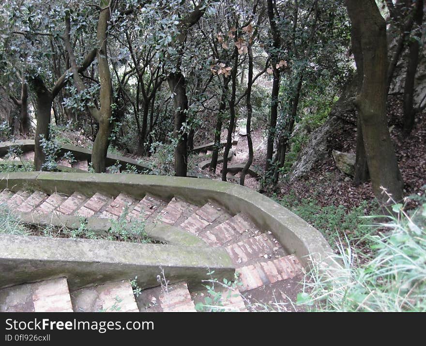 A stairway in a park leading downwards. A stairway in a park leading downwards.