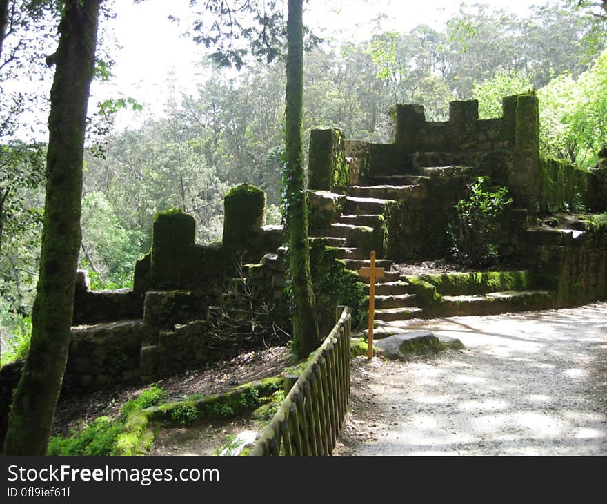 The ruins of an old fortress in the forest. The ruins of an old fortress in the forest.