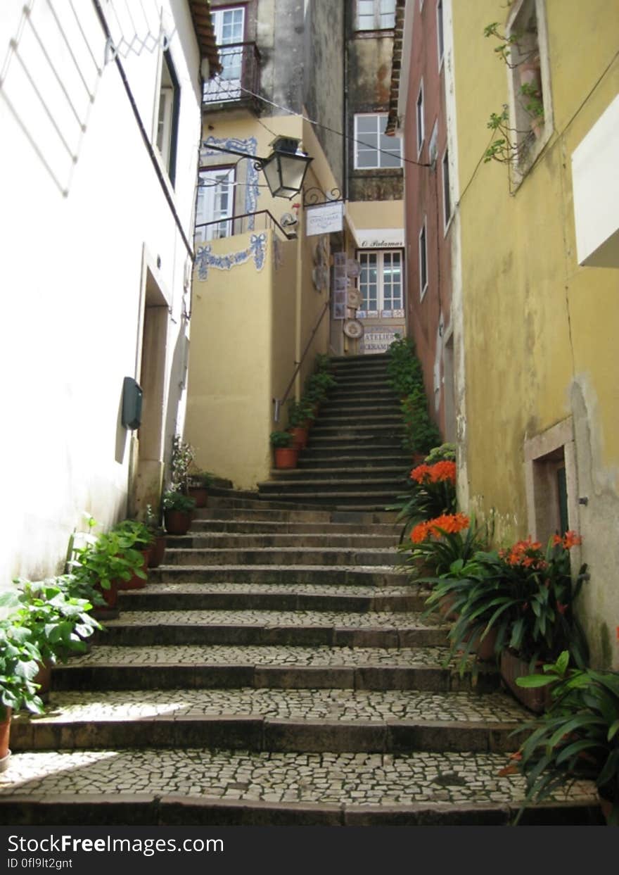 A narrow alley with stairs leading up. A narrow alley with stairs leading up.