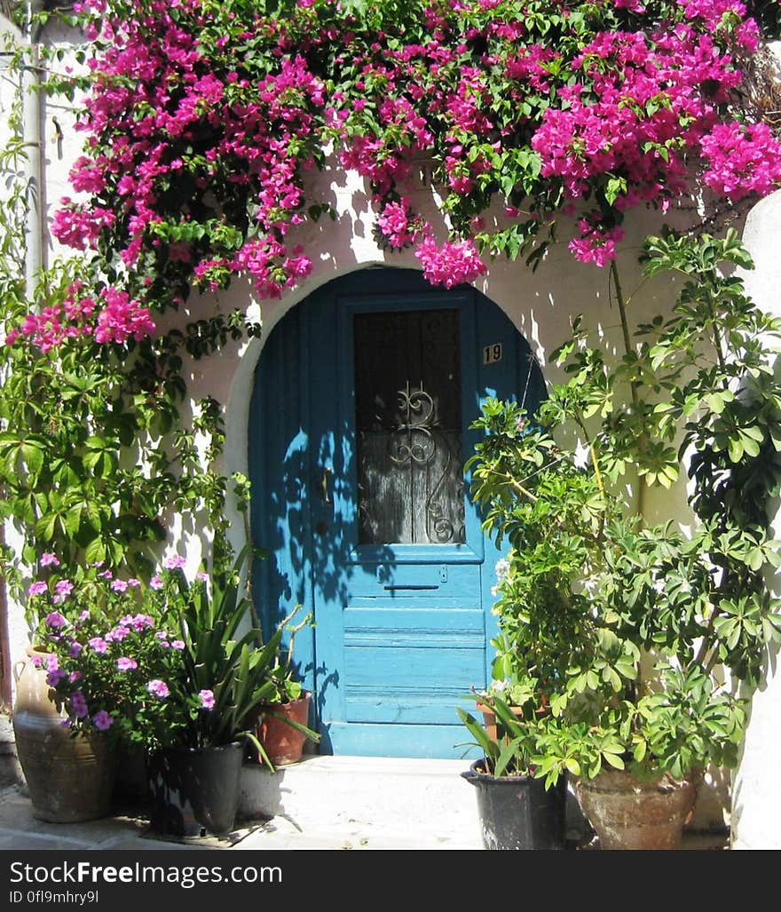 Blue wooden entrance door and pink Mediterranean flowers above. Blue wooden entrance door and pink Mediterranean flowers above.