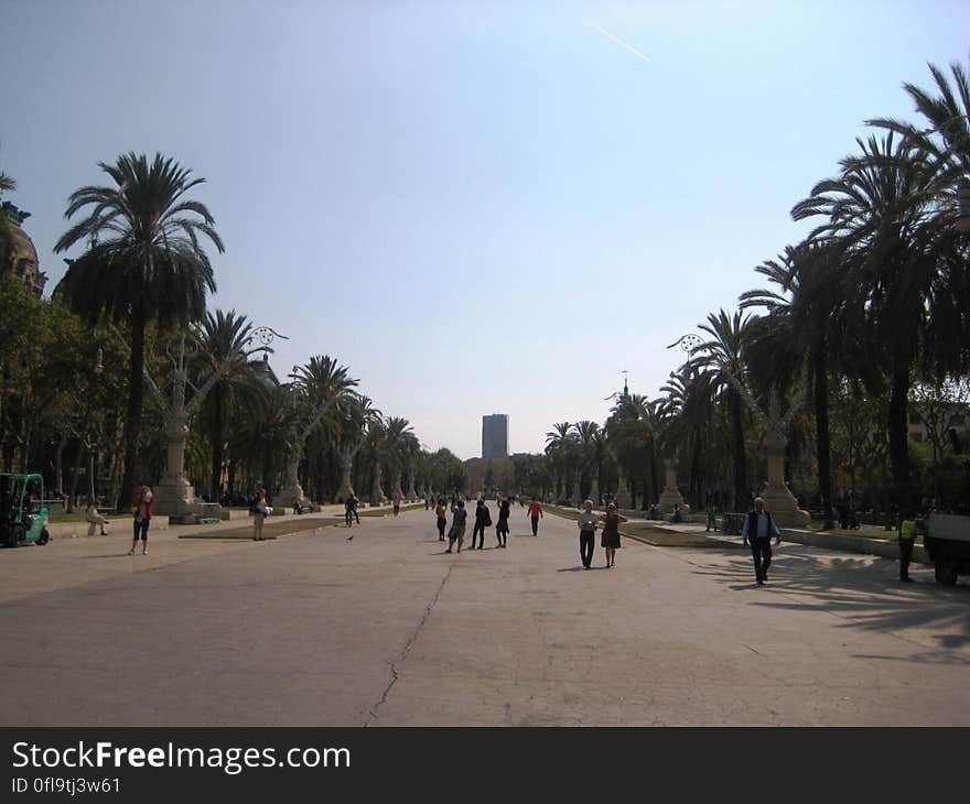 People walking along a pedestrian street with palm trees aside. People walking along a pedestrian street with palm trees aside.