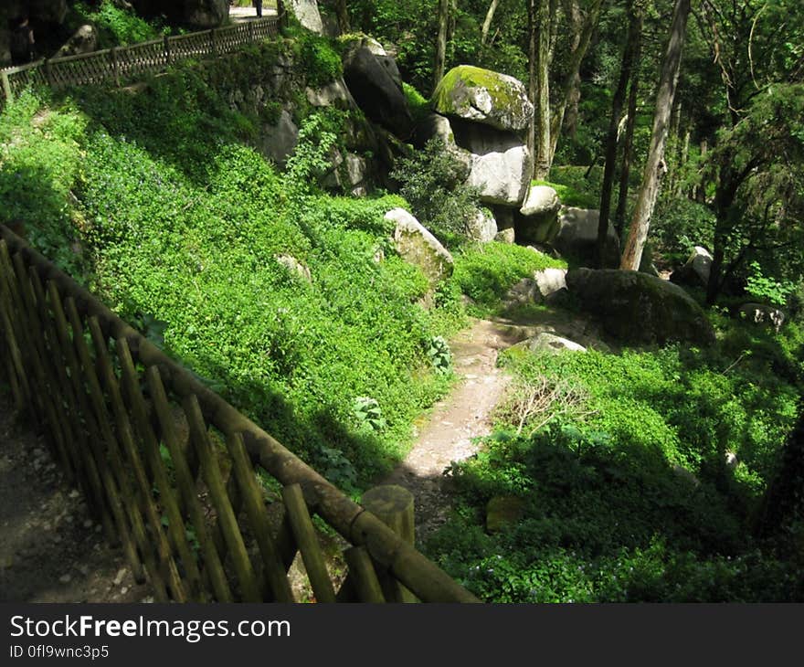 A path going over the green hills in the forest. A path going over the green hills in the forest.