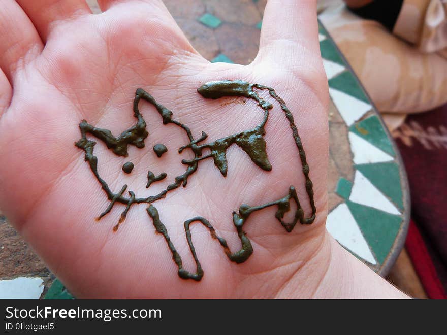 I messed around with henna and drew a kitty cat on my palm. - Morocco January 2014. Went to visit my grandma in Essauouira for the 2nd time since she moved there. Had a great time!. I messed around with henna and drew a kitty cat on my palm. - Morocco January 2014. Went to visit my grandma in Essauouira for the 2nd time since she moved there. Had a great time!