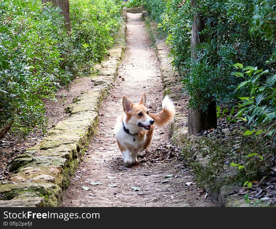 Visited Parque Guëll in Barcelona with a friend visiting from France and my dog Sun.