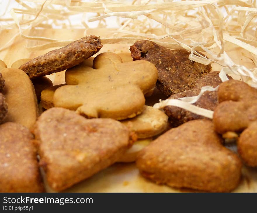 product photoshoot at my friend&#x27;s doggie bakery. product photoshoot at my friend&#x27;s doggie bakery.