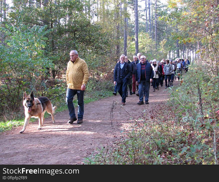 Plant, Dog, People in nature, Tree, Carnivore, Outdoor recreation