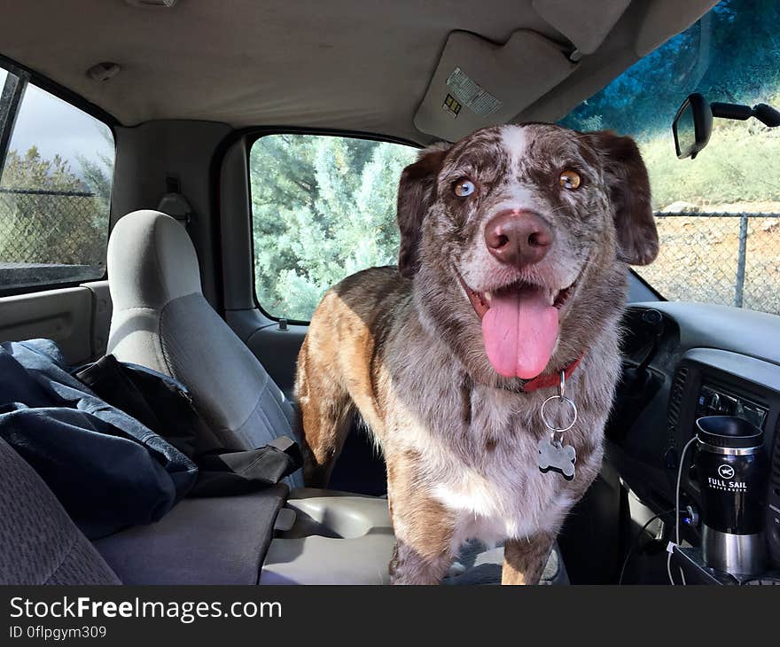 Felix was pretty excited when I showed up at the kennel this morning. &#x22;It&#x27;s like you just left yesterday!&#x22;. Felix was pretty excited when I showed up at the kennel this morning. &#x22;It&#x27;s like you just left yesterday!&#x22;