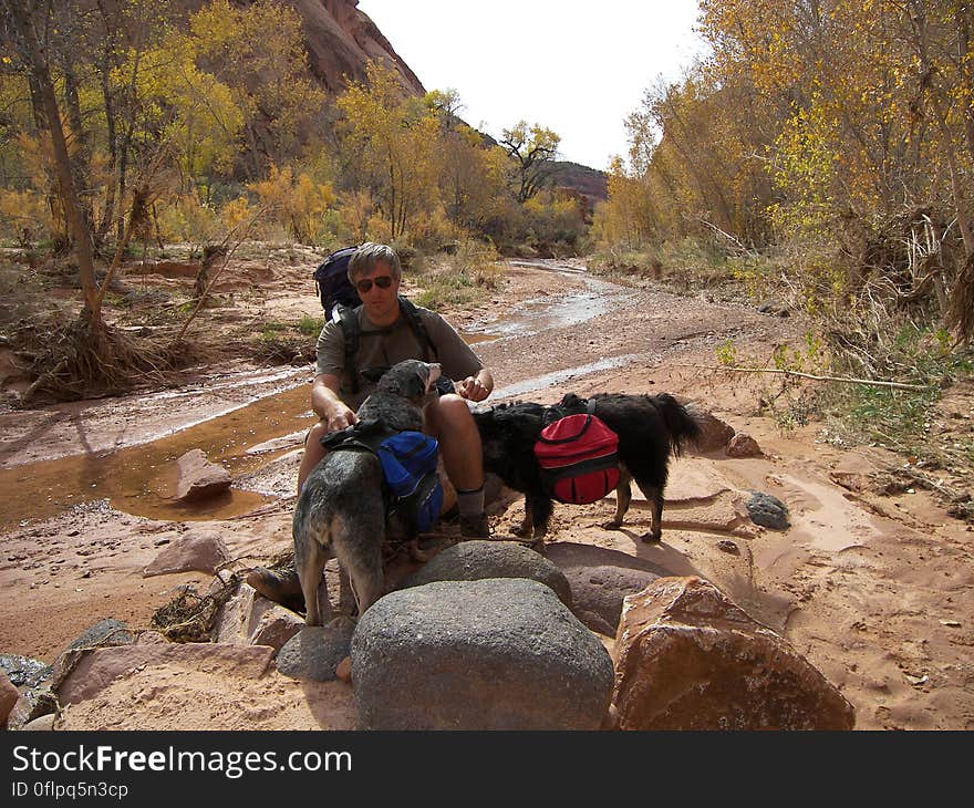 Stuart packs up the dogs after a quick break. Stuart packs up the dogs after a quick break