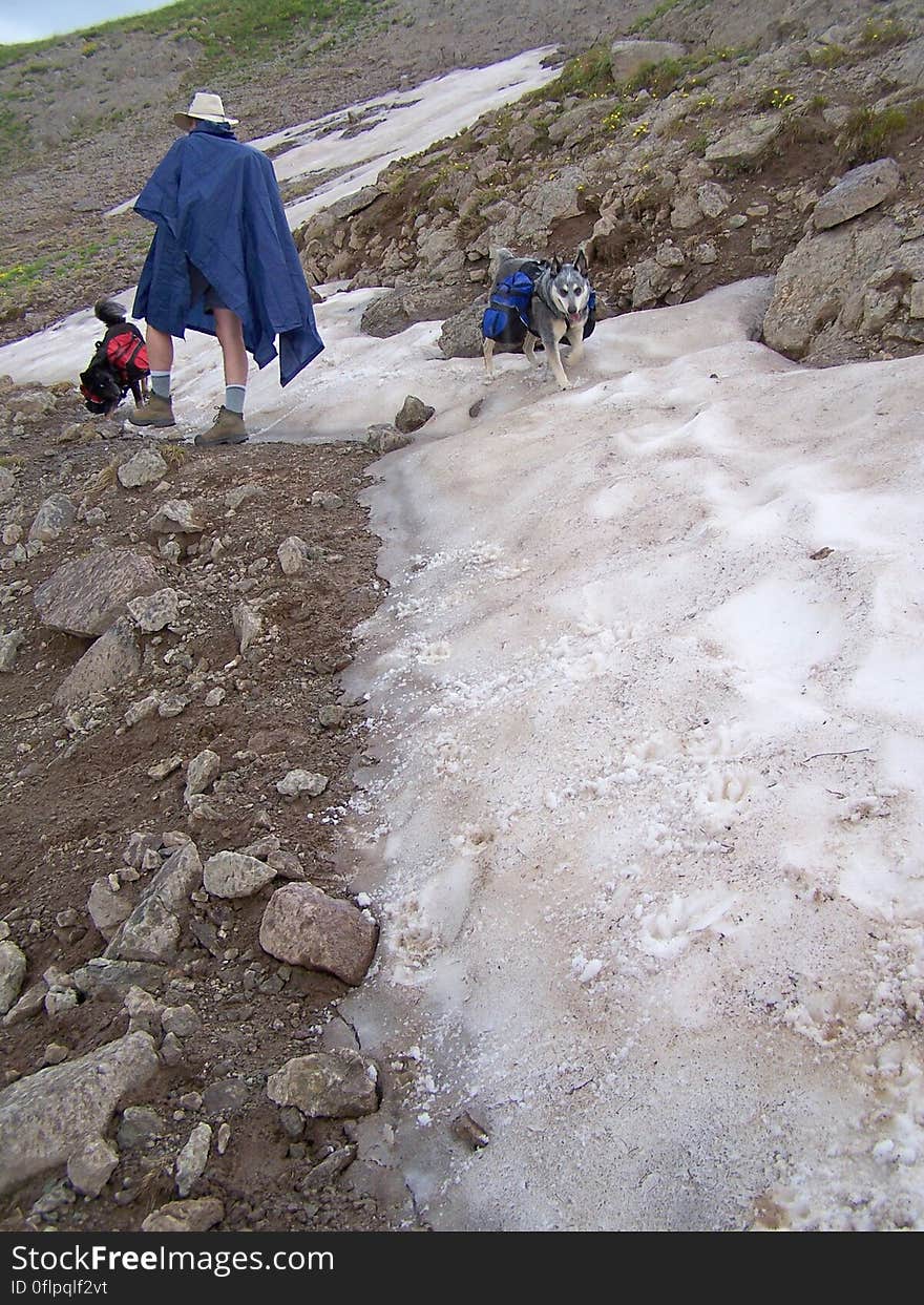 Walking across snow on trail. Continental Divide Trail, south of Elwood Pass, CO. Walking across snow on trail. Continental Divide Trail, south of Elwood Pass, CO