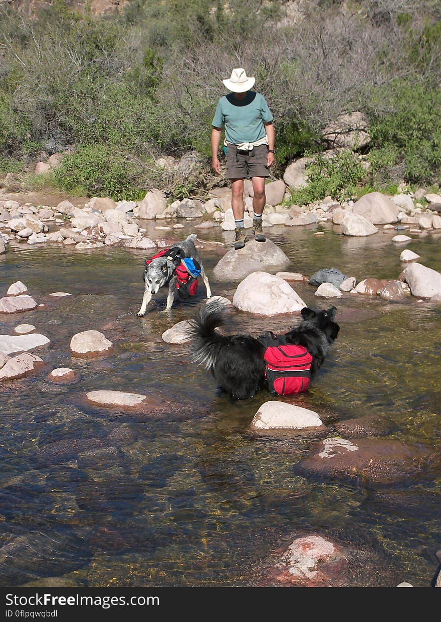 Crossing the creek. Crossing the creek