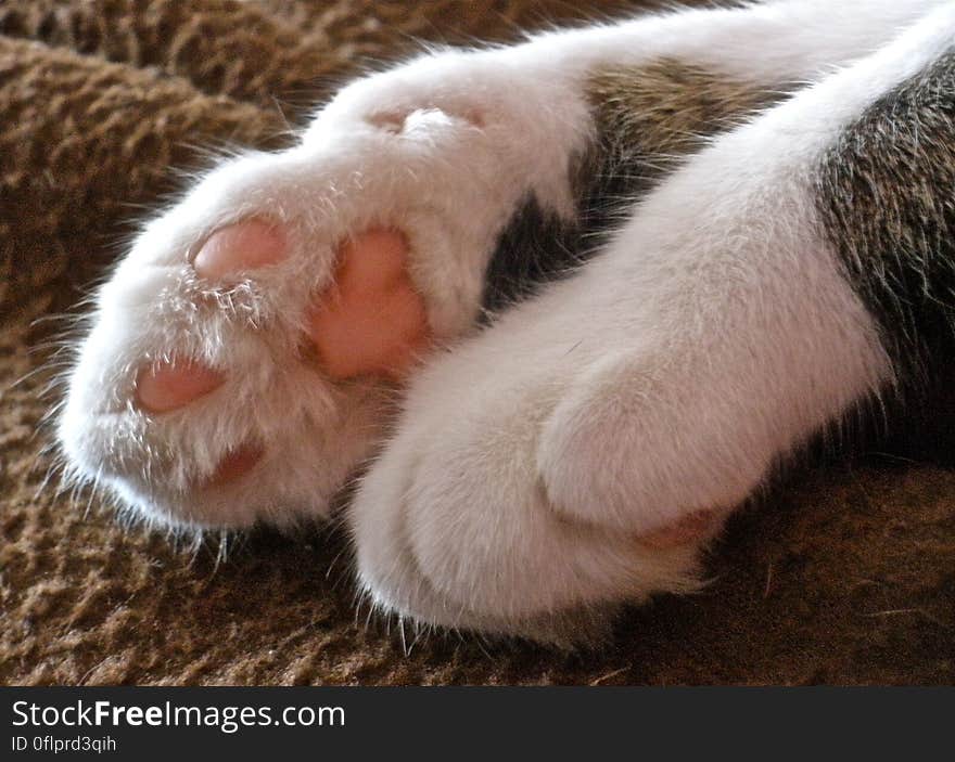 Chiqui showing off her clean -for once- feets. Taken in Barcelona. Chiqui showing off her clean -for once- feets. Taken in Barcelona.