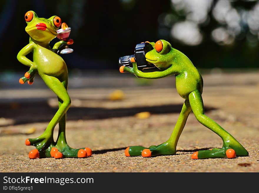 A pair of frog figures, a model and a photographer. A pair of frog figures, a model and a photographer.