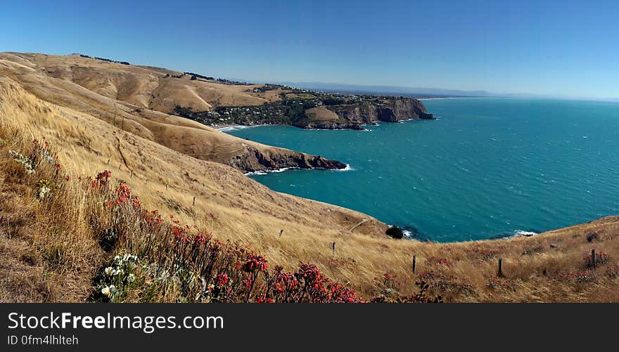 Banks Peninsula is situated in about the middle of the east coast of the South Island on the margin of the Canterbury Plains. It is approximately 450 sq. miles in area and its highest point is Herbert Peak, 3,014 ft. It comprises two extinct volcanoes which were active less than half a million years ago. Their craters have subsequently been enlarged to many times their original size by stream erosion; they were then invaded by the sea during the postglacial world-wide rise in sea level beginning about 15,000 years ago. They now form the harbours of Lyttelton and Akaroa. Originally Banks Peninsula was an island, but it became tied to the Canterbury Plains at some late stage in geological history when the growing alluvial plain reached its base. Banks Peninsula is situated in about the middle of the east coast of the South Island on the margin of the Canterbury Plains. It is approximately 450 sq. miles in area and its highest point is Herbert Peak, 3,014 ft. It comprises two extinct volcanoes which were active less than half a million years ago. Their craters have subsequently been enlarged to many times their original size by stream erosion; they were then invaded by the sea during the postglacial world-wide rise in sea level beginning about 15,000 years ago. They now form the harbours of Lyttelton and Akaroa. Originally Banks Peninsula was an island, but it became tied to the Canterbury Plains at some late stage in geological history when the growing alluvial plain reached its base.