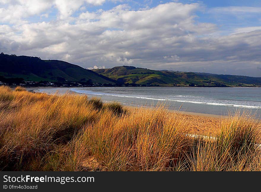 Apollo Bay Beach