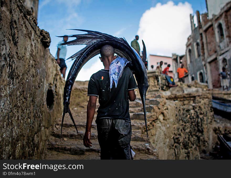 A Somali man carries a large sailfish on his head as he transports it to Mogadishu&#x27;s fish market in the Xamar Weyne district of the Somali capital, 16 March, 2013. Every morning Mogadishu&#x27;s fisherman bring their catch ashore upon which it is quickly unloaded and transported to Xamar Weyne&#x27;s lively and chaotic fish market where it is sold for consumption on the local market and increasingly, for export to other countries. Over the last two decades, instability on land has greatly restricted the development of the country&#x27;s fishing industry, but now that Somalia is enjoying the longest period of sustained peace in over 20 years, there is large-scale potential and opportunity to harvest the bountiful waters off the Horn of Africa nation, which boasts the longest coastline in Africa. AU-UN IST PHOTO / STUART PRICE. A Somali man carries a large sailfish on his head as he transports it to Mogadishu&#x27;s fish market in the Xamar Weyne district of the Somali capital, 16 March, 2013. Every morning Mogadishu&#x27;s fisherman bring their catch ashore upon which it is quickly unloaded and transported to Xamar Weyne&#x27;s lively and chaotic fish market where it is sold for consumption on the local market and increasingly, for export to other countries. Over the last two decades, instability on land has greatly restricted the development of the country&#x27;s fishing industry, but now that Somalia is enjoying the longest period of sustained peace in over 20 years, there is large-scale potential and opportunity to harvest the bountiful waters off the Horn of Africa nation, which boasts the longest coastline in Africa. AU-UN IST PHOTO / STUART PRICE.