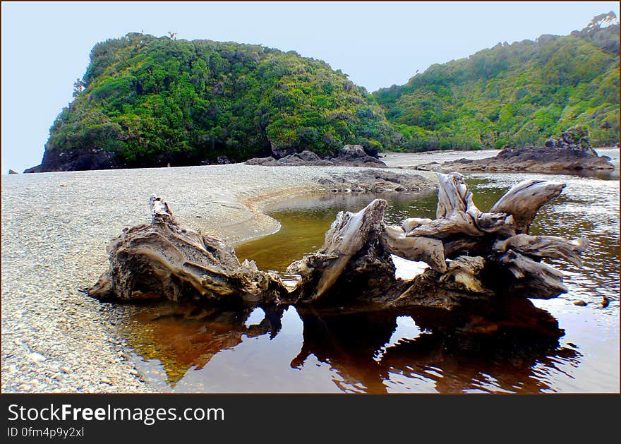 West Coast beaches of New Zealand &#x28;31&#x29;