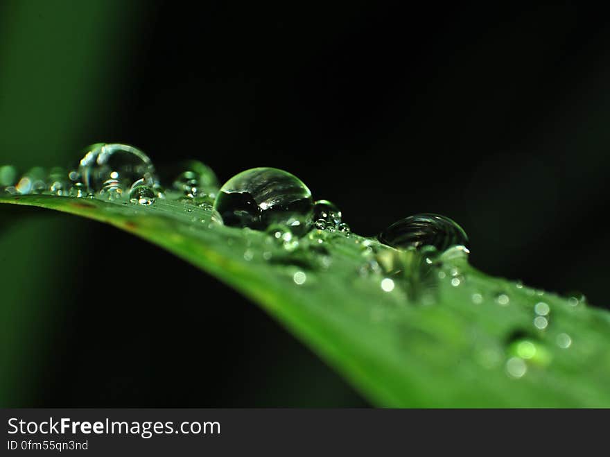 Macro view of water drops on green leaf.