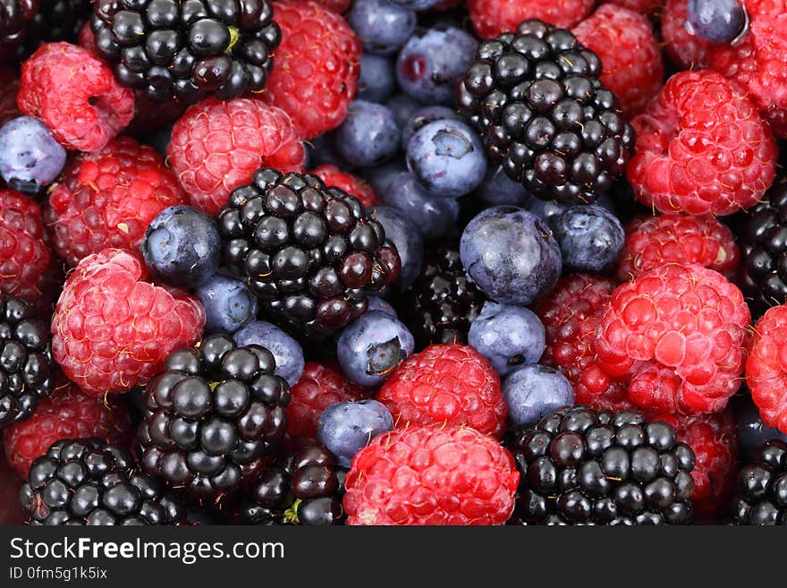 Blue Berries Close Up Photography