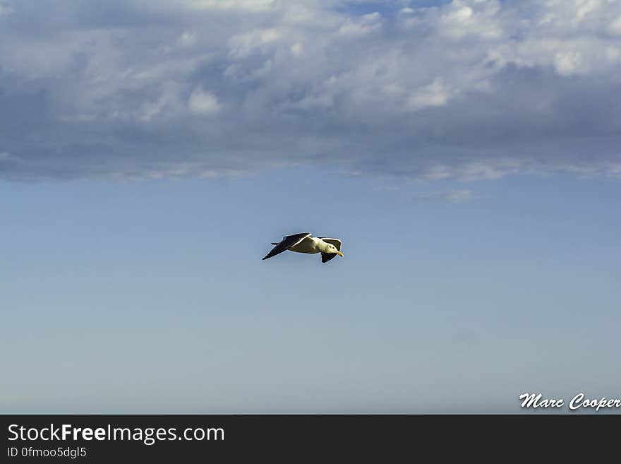 Air Recon Over Matador State Beach