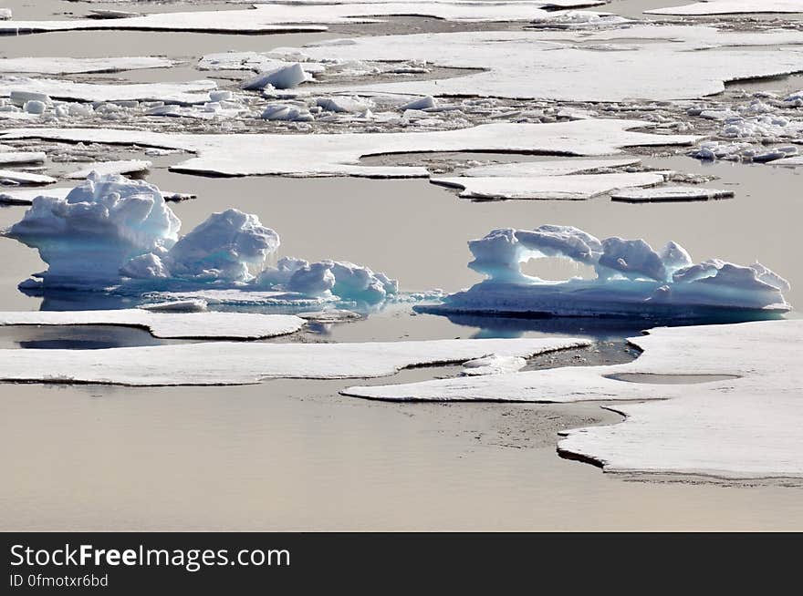 A melting ice floe in the Arctic Ocean resembles an alligator Aug. 12, 2009. Photo Credit: Patrick Kelley, U.S. Coast Guard. A melting ice floe in the Arctic Ocean resembles an alligator Aug. 12, 2009. Photo Credit: Patrick Kelley, U.S. Coast Guard