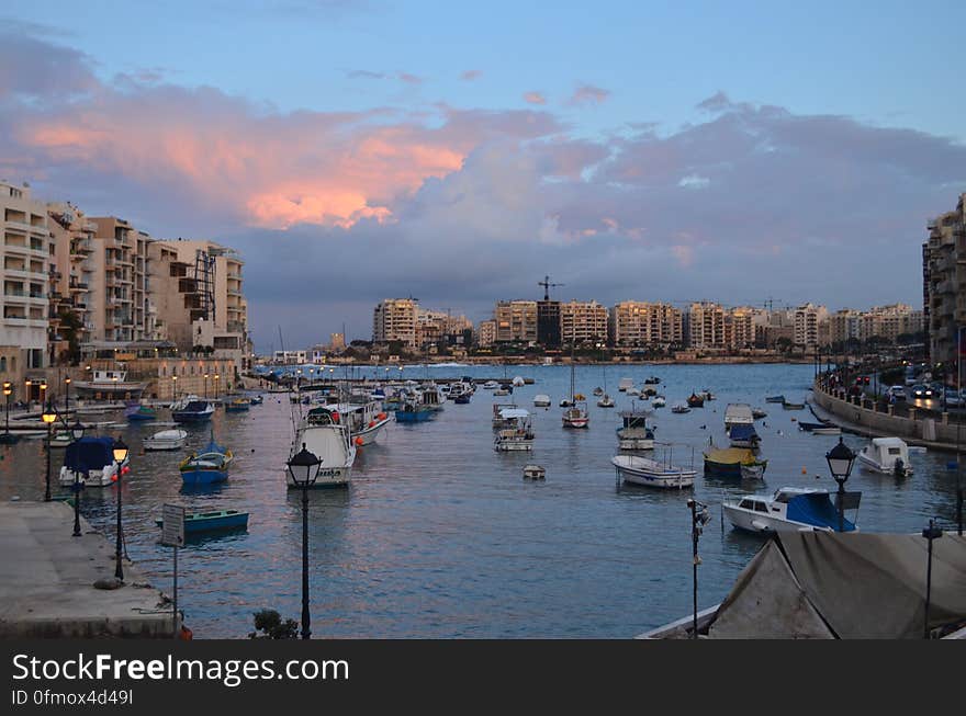 Maltese Evenings