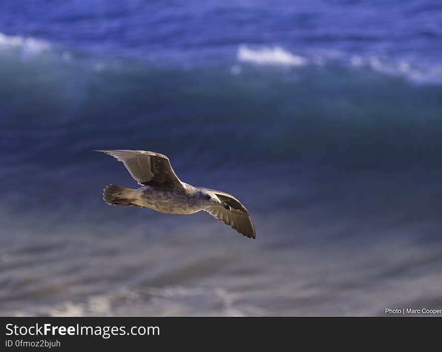 El Matador State Beach [Los Angeles}. El Matador State Beach [Los Angeles}