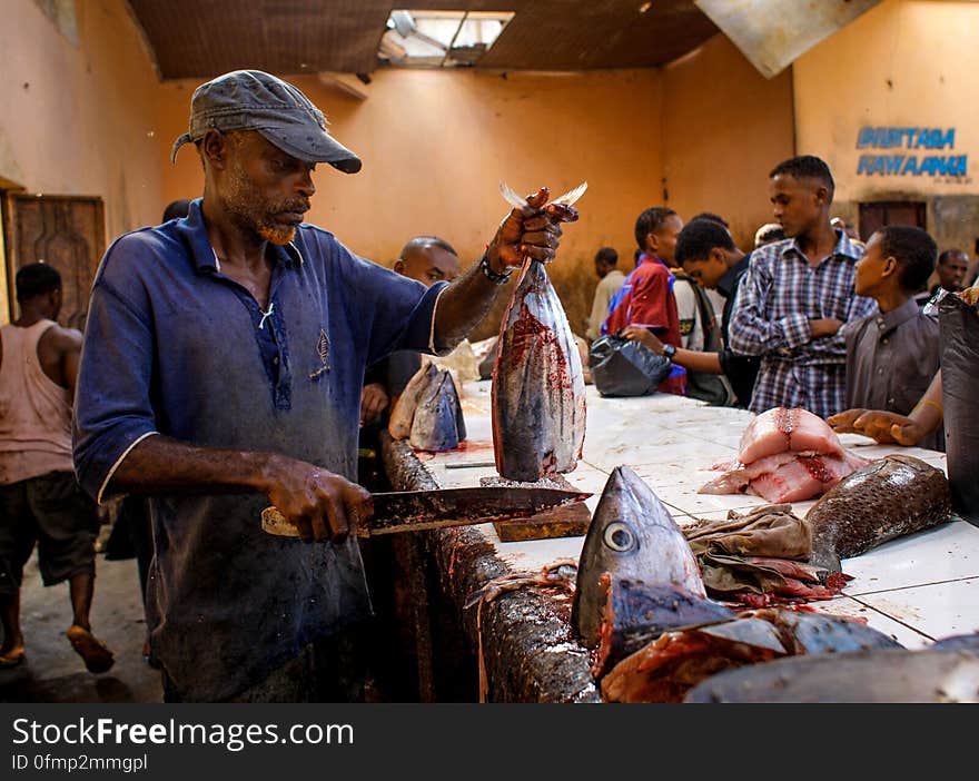 Traders cut and fillet fish inside Mogadishu&#x27;s fish market in the Xamar Weyne district of the Somali capital, 16 March, 2013. Every morning Mogadishu&#x27;s fisherman bring their catch ashore upon which it is quickly unloaded and transported to Xamar Weyne&#x27;s lively and chaotic fish market where it is sold for consumption on the local market and increasingly, for export to other countries. Over the last two decades, instability on land has greatly restricted the development of the country&#x27;s fishing industry, but now that Somalia is enjoying the longest period of sustained peace in over 20 years, there is large-scale potential and opportunity to harvest the bountiful waters off the Horn of Africa nation, which boasts the longest coastline in Africa. AU-UN IST PHOTO / STUART PRICE. Traders cut and fillet fish inside Mogadishu&#x27;s fish market in the Xamar Weyne district of the Somali capital, 16 March, 2013. Every morning Mogadishu&#x27;s fisherman bring their catch ashore upon which it is quickly unloaded and transported to Xamar Weyne&#x27;s lively and chaotic fish market where it is sold for consumption on the local market and increasingly, for export to other countries. Over the last two decades, instability on land has greatly restricted the development of the country&#x27;s fishing industry, but now that Somalia is enjoying the longest period of sustained peace in over 20 years, there is large-scale potential and opportunity to harvest the bountiful waters off the Horn of Africa nation, which boasts the longest coastline in Africa. AU-UN IST PHOTO / STUART PRICE.