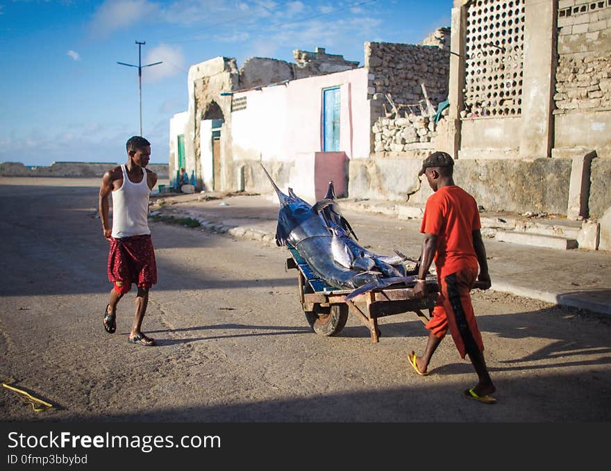 A Somali man pushes a barrow loaded with freshly caught fish from the Indian Ocean towards Mogadishu&#x27;s fish market in the Xamar Weyne district of the Somali capital, 16 March, 2013. Every morning Mogadishu&#x27;s fisherman bring their catch ashore upon which it is quickly unloaded and transported to Xamar Weyne&#x27;s lively and chaotic fish market where it is sold for consumption on the local market and increasingly, for export to other countries. Over the last two decades, instability on land has greatly restricted the development of the country&#x27;s fishing industry, but now that Somalia is enjoying the longest period of sustained peace in over 20 years, there is large-scale potential and opportunity to harvest the bountiful waters off the Horn of Africa nation, which boasts the longest coastline in Africa. AU-UN IST PHOTO / STUART PRICE. A Somali man pushes a barrow loaded with freshly caught fish from the Indian Ocean towards Mogadishu&#x27;s fish market in the Xamar Weyne district of the Somali capital, 16 March, 2013. Every morning Mogadishu&#x27;s fisherman bring their catch ashore upon which it is quickly unloaded and transported to Xamar Weyne&#x27;s lively and chaotic fish market where it is sold for consumption on the local market and increasingly, for export to other countries. Over the last two decades, instability on land has greatly restricted the development of the country&#x27;s fishing industry, but now that Somalia is enjoying the longest period of sustained peace in over 20 years, there is large-scale potential and opportunity to harvest the bountiful waters off the Horn of Africa nation, which boasts the longest coastline in Africa. AU-UN IST PHOTO / STUART PRICE.