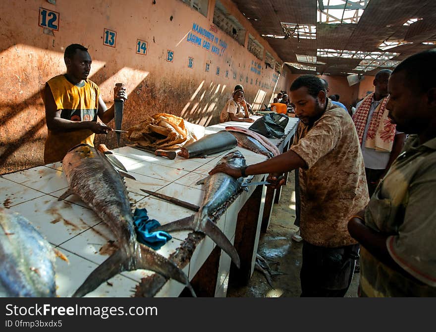 Traders cut and fillet fish inside Mogadishu&#x27;s fish market in the Xamar Weyne district of the Somali capital, 16 March, 2013. Every morning Mogadishu&#x27;s fisherman bring their catch ashore upon which it is quickly unloaded and transported to Xamar Weyne&#x27;s lively and chaotic fish market where it is sold for consumption on the local market and increasingly, for export to other countries. Over the last two decades, instability on land has greatly restricted the development of the country&#x27;s fishing industry, but now that Somalia is enjoying the longest period of sustained peace in over 20 years, there is large-scale potential and opportunity to harvest the bountiful waters off the Horn of Africa nation, which boasts the longest coastline in Africa. AU-UN IST PHOTO / STUART PRICE. Traders cut and fillet fish inside Mogadishu&#x27;s fish market in the Xamar Weyne district of the Somali capital, 16 March, 2013. Every morning Mogadishu&#x27;s fisherman bring their catch ashore upon which it is quickly unloaded and transported to Xamar Weyne&#x27;s lively and chaotic fish market where it is sold for consumption on the local market and increasingly, for export to other countries. Over the last two decades, instability on land has greatly restricted the development of the country&#x27;s fishing industry, but now that Somalia is enjoying the longest period of sustained peace in over 20 years, there is large-scale potential and opportunity to harvest the bountiful waters off the Horn of Africa nation, which boasts the longest coastline in Africa. AU-UN IST PHOTO / STUART PRICE.