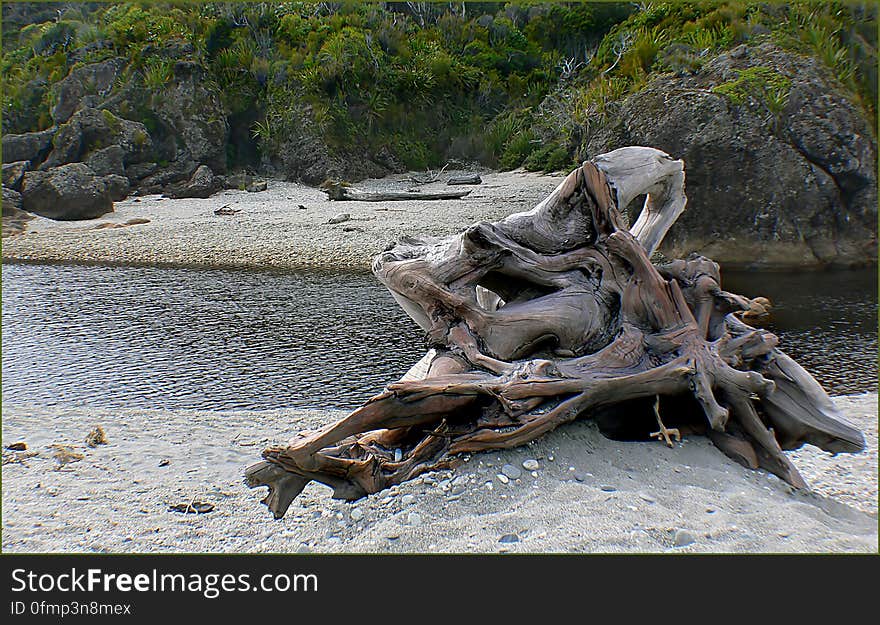 West Coast beaches of New Zealand &#x28;27&#x29;