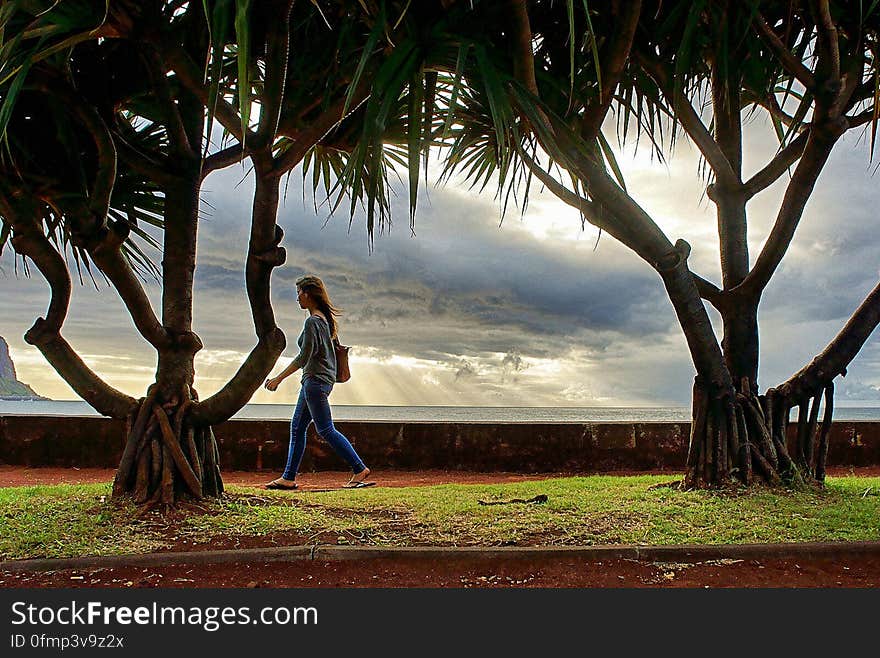 Saint Denis, La Reunion. Saint Denis, La Reunion