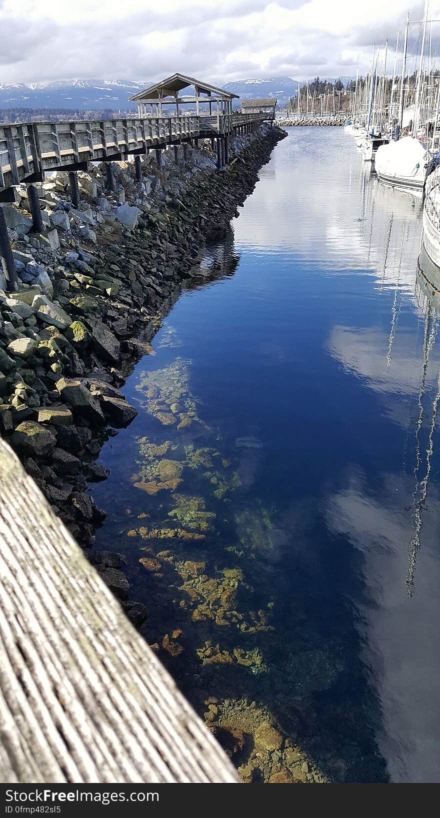 At the Comox marina. At the Comox marina